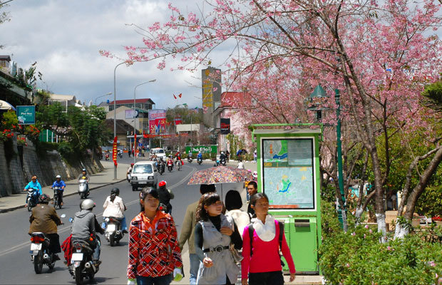 Khách du lịch đến Lâm Đồng dịp Tết Nguyên đán tăng mạnh