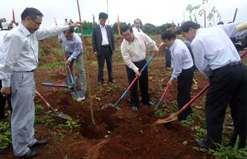 Lãnh đạo hai tỉnh Lâm Đồng và Đắk Nông trồng cây mai anh đào tại Công viên Gia Nghĩa