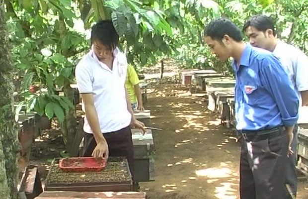Một cán bộ Huyện Đoàn Lâm Hà tham quan mô hình nuôi ong của đoàn viên trẻ Phạm Văn Bảo Trung