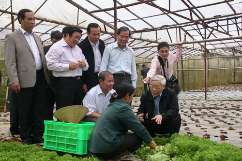 Tổng Bí thư Nguyễn Phú Trọng cùng với lãnh đạo tỉnh thăm quan HTX rau sạch Xuân Hương, Tp. Đà Lạt