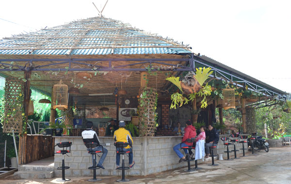 Thăm trang trại cà phê chồn đầu tiên ở Đà Lạt