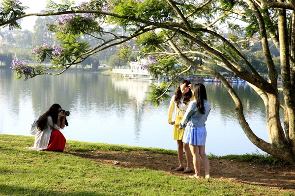 Ban mai hồ Xuân Hương – những bức ảnh tinh tế