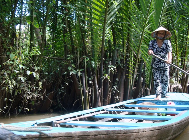  Cá bống dừa Bến Tre thường trú ngụ ở những rặng dừa nước