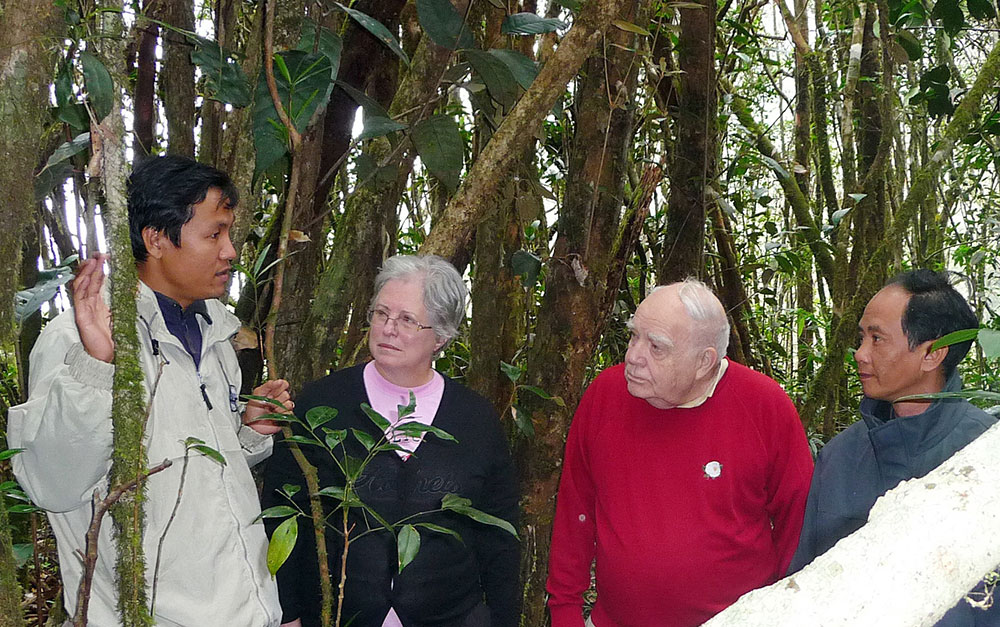 Bà Patricia Short - Chủ tịch Hiệp hội trà thế giới nghiên cứu tại Vườn Biduop - Núi Bà