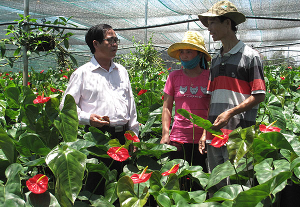 Chủ tịch Nguyễn Đức Tài (trái) thăm mô hình nông nghiệp công nghệ cao