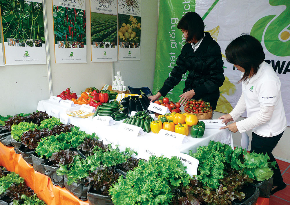 Một công ty nước ngoài giới thiệu các giống rau mới cho người dân Đà Lạt tại Festival Hoa Đà Lạt