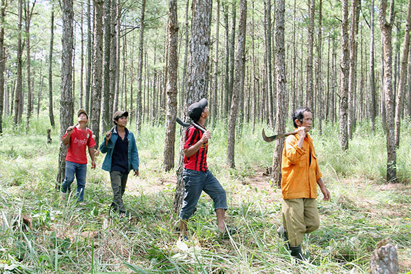 Cộng đồng người dân tộc thiểu số ở Bảo Lâm kiểm tra rừng nhận khoán