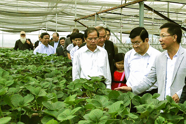 Bí thư Tỉnh ủy (thứ ba từ phải qua) cùng Chủ tịch nước thăm mô hình nông nghiệp công nghệ cao. Ảnh: Mai Văn Bảo