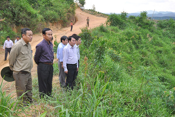 Giám sát việc triển khai Dự án trồng rừng tại Doanh nghiệp tư nhân Lê Tám (xã Hòa Bắc)