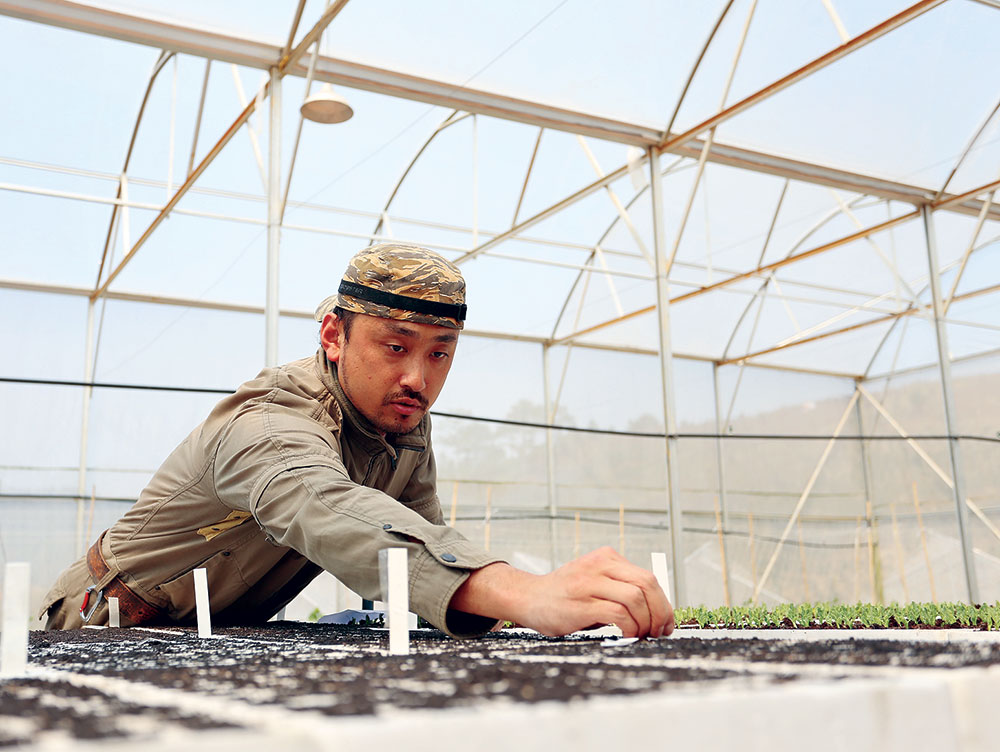 Hợp tác phát triển nông nghiệp công nghệ cao ngày càng được đẩy mạnh. Trong ảnh: Kỹ sư Nhật làm việc tại huyện Lạc Dương - Ảnh: Gia THỊNH