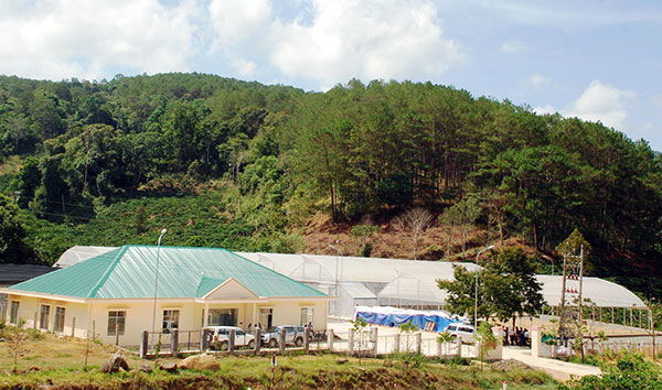 Khu vườn ươm giống cây rừng công nghệ cao tại Gung Ré, Di Linh