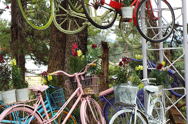 Bộ sưu tập xe đạp gợi kỷ niệm đẹp thời bao cấp