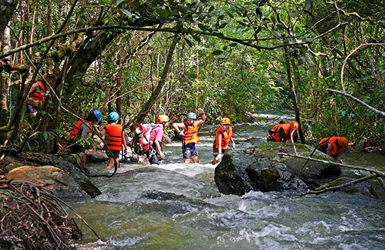 Trên hành trình chinh phục các con thác, du khách sẽ khám phá khu rừng nhiệt đới của Đà Lạt
