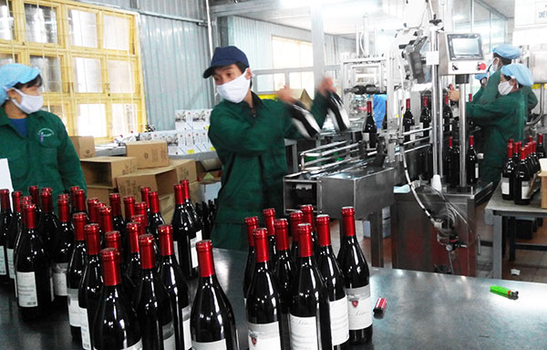 Sản xuất rượu vang tại công ty cổ phần Rượu Bia Đà Lạt