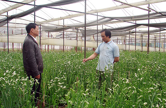 Đại diện Hội Nông dân xã Lạc Xuân (Đơn Dương) đi vận động nông dân trồng hoa theo mô hình ứng dụng NN - CNC