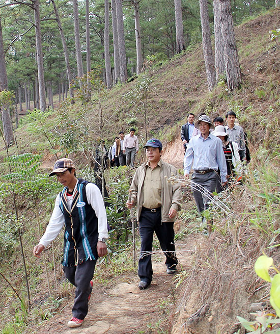 Chủ tịch UBND tỉnh Đoàn Văn Việt kiểm tra công tác quản lý và bảo vệ rừng tại huyện Lạc Dương sau Tết Nguyên đán 2015