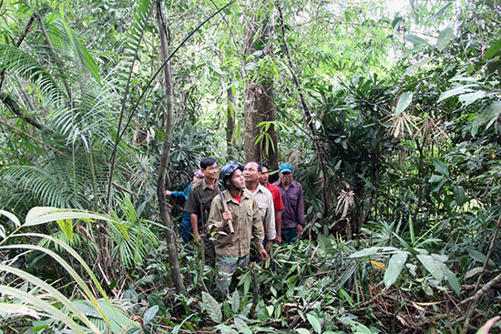Các hộ nhận khoán tham gia bảo vệ rừng