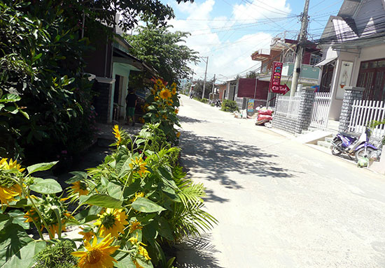 Hoa ven đường ở Lạc Lâm - Đơn Dương