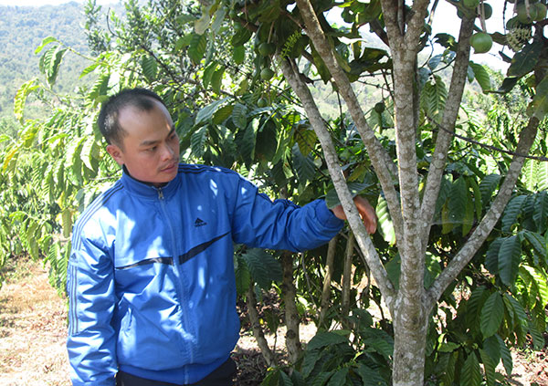 Anh Lưu thường xuyên nghiên cứu những giống cây trồng mới mang lại hiệu quả kinh tế cao