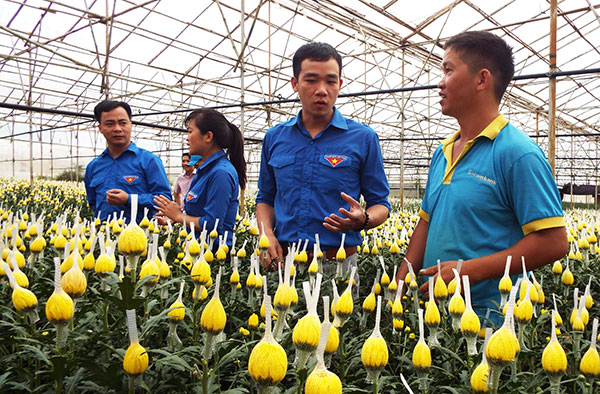 Sản xuất nông nghiệp ứng dụng công nghệ cao ở phường 12 - Làng hoa Thái Phiên