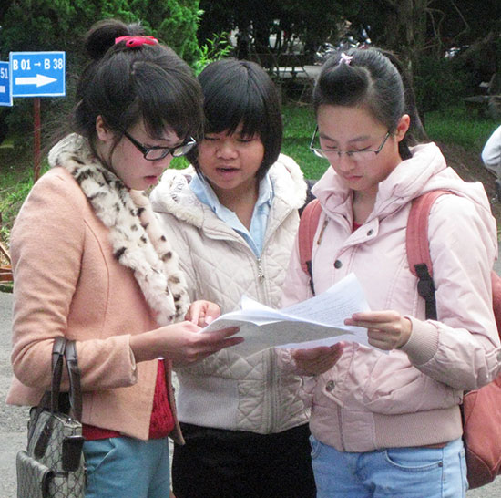 Lâm Đồng đạt nhiều thành tích trong các cuộc thi, hội thi cấp tỉnh, cấp quốc gia