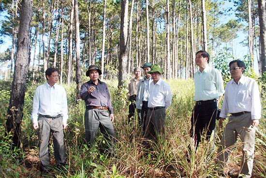 Tăng cường sự lãnh đạo của Đảng trong công tác quản lý, bảo vệ và phát triển rừng