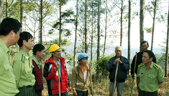 Kiểm lâm và chủ rừng kiểm tra rừng Đà Lạt