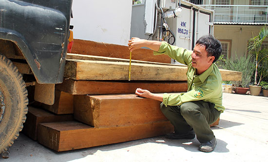 Tang vật gỗ sao (nhóm II) mà đối tượng vi phạm vận chuyển trái phép từ Khánh Hòa vào địa bàn Đà Lạt tháng 2/2016 do Hạt Kiểm lâm Đà Lạt bắt giữ