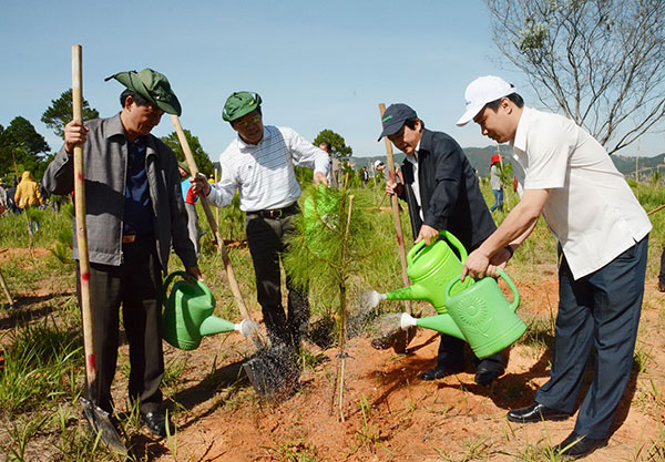 Lãnh đạo Tỉnh ủy, UBND tỉnh trực tiếp tham gia trồng cây xanh trên khu đồi thuộc đường Đống Đa, Đà Lạt