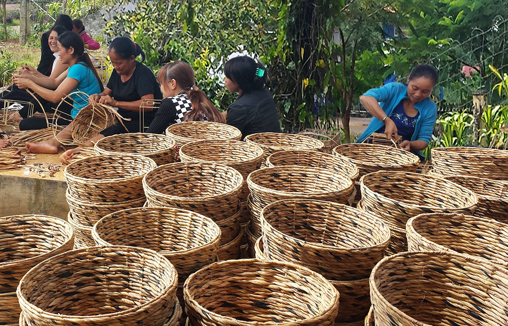 Một nhóm phụ nữ ở Di Linh biết nghề đan lục bình sau khi được đào tạo