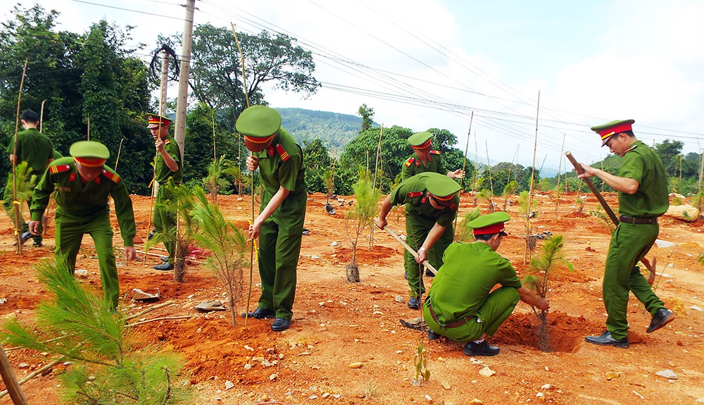 Đoàn viên thanh niên đã ra quân trồng 3.000 cây thông dọc đèo Tà Nung
