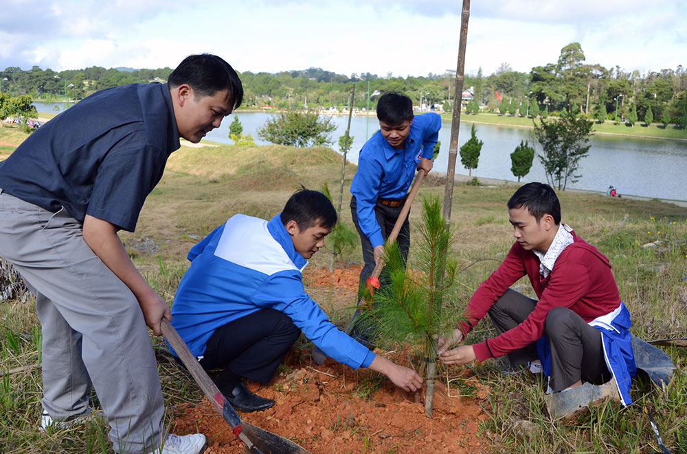 Tuổi trẻ TP Đà Lạt tham gia trồng cây xanh. Ảnh: VĂN BÁU