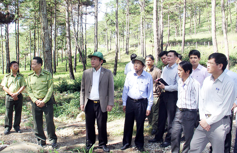 Phó Chủ tịch UBND tỉnh Nguyễn Văn Yên (thứ 3 từ trái qua) kiểm tra thực tế các dự án tại Đà Lạt