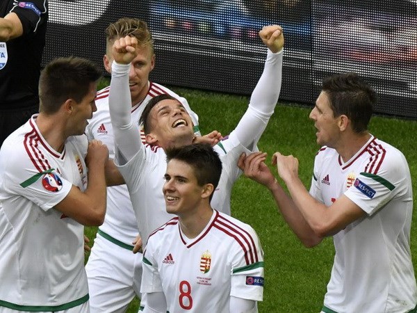 Các cầu thủ Hungary ăn mừng sau khi ghi bàn vào lưới đội tuyển Áo trong trận đấu thuộc bảng F EURO 2016. (Nguồn: AFP)