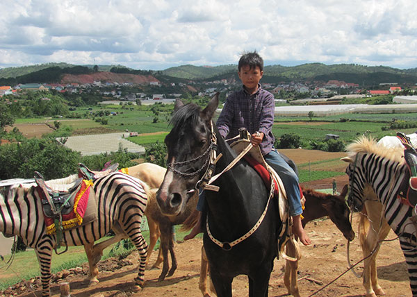 9 tuổi nhưng Kră Tăn Quân đã điều khiển thành thạo chú ngựa dũng mãnh nhất Lang Biang