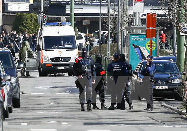 Cảnh sát Bỉ trong chiến dịch truy quét khủng bố ở Schaerbeek. (Nguồn: EPA/TTXVN)