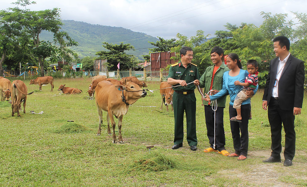 Viettel Lâm Đồng trao tặng bò giống cho người dân Lâm Đồng