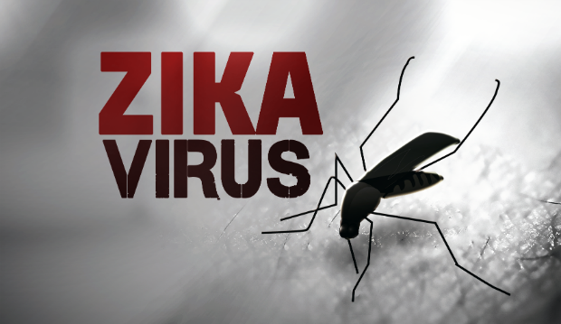 Mỹ thử thành công vắcxin phòng chống virus Zika trên động vật