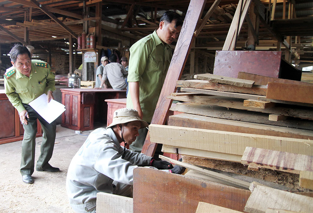 Đồng loạt kiểm tra các doanh nghiệp chế biến gỗ tại Bảo Lộc