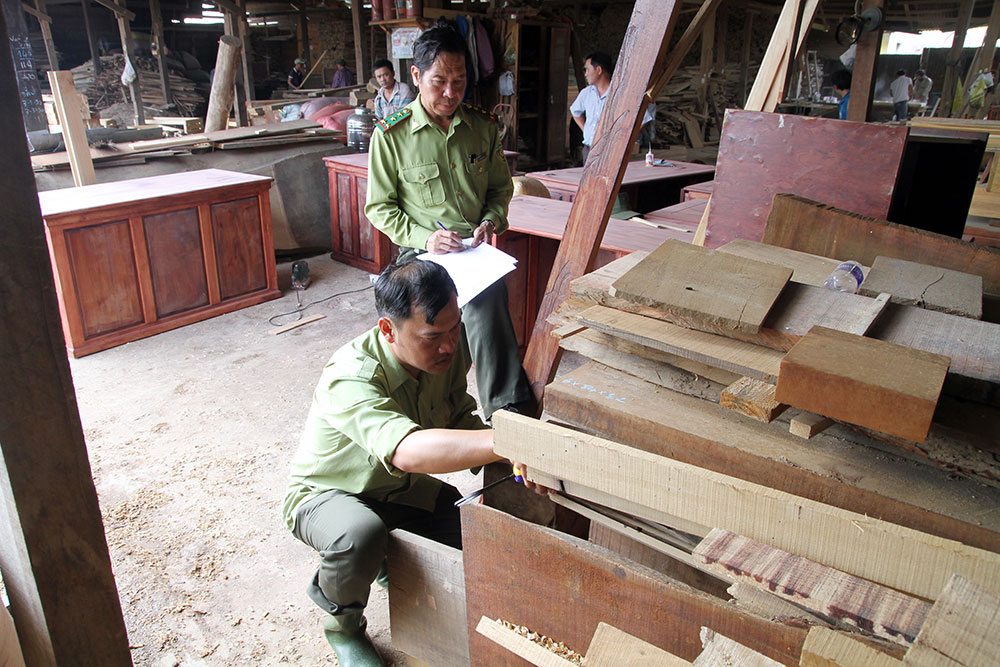 Cơ quan chức năng kiểm tra các cơ sở kinh doanh, chế biến gỗ trên địa bàn TP Bảo Lộc