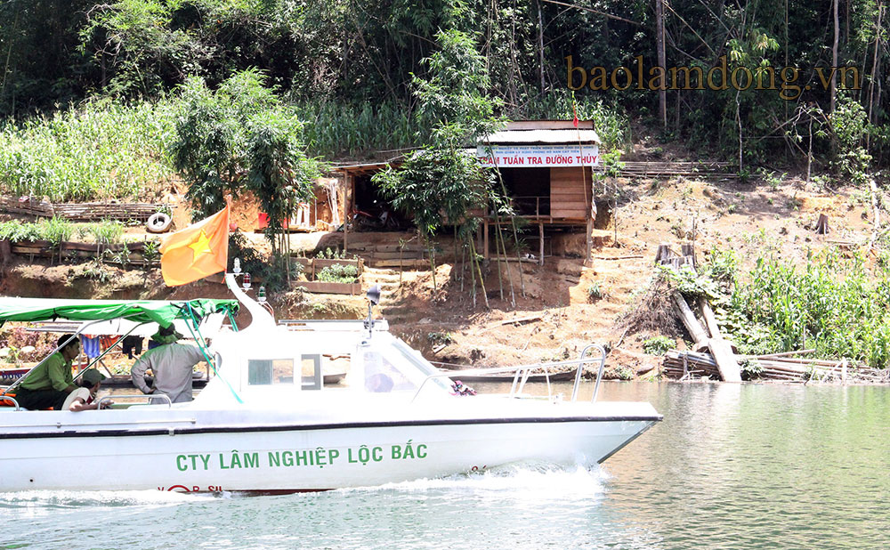 “Lâm tặc” vẫn ngang nhiên mang gỗ trái phép đi trên sông ngang qua Trạm tuần tra đường thủy thuộc BQL Rừng phòng hộ Nam Cát Tiên (Đắk Nông)
