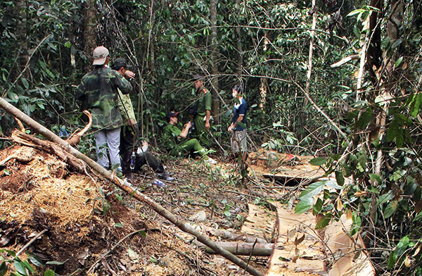 Vụ phá rừng tại Thủy điện Đồng Nai 5 phát hiện vào tháng 7