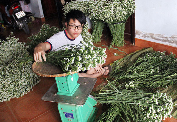 Hoa salem cao cấp của nhà anh Mai luôn thu hút mạnh thị trường thành phố Hồ Chí Minh