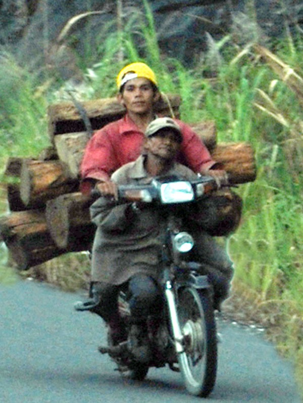 Vận chuyển gỗ trái phép bằng xe máy là hiện tượng rất phổ biến