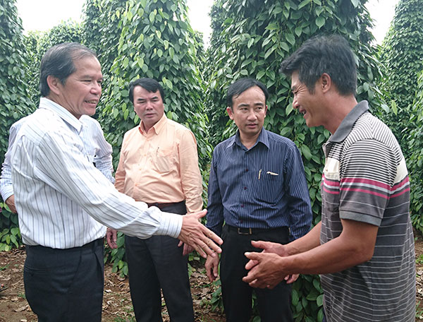 Đồng chí Nguyễn Xuân Tiến thăm vườn tiêu của gia đình anh Đào Văn Đắc (thôn Bù Gia Rá, xã Đồng Nai Thượng)