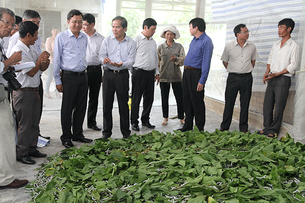 Đồng chí Nguyễn Xuân Tiến đến thăm mô hình nuôi tằm của Tổ hợp tác trồng dâu nuôi tằm 123 (xã Quảng Trị, huyện Đạ Tẻh)