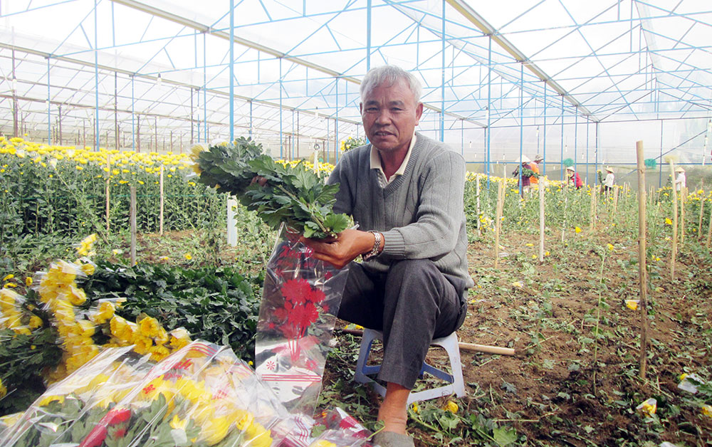 Hơn 2 ha đất được ông Trần Ngọc Hòa xây dựng nhà kính, trồng hoa theo hướng công nghệ cao