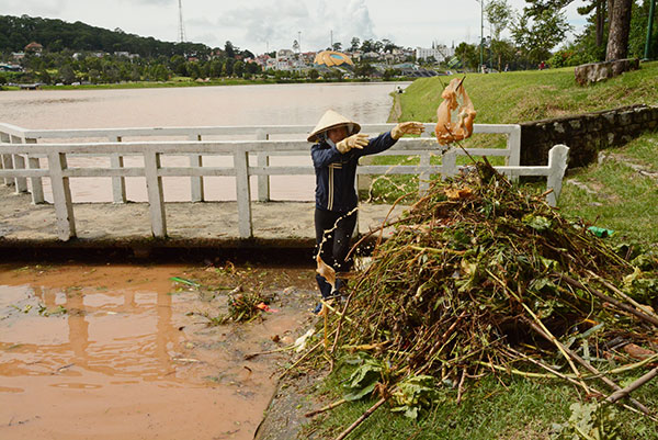 Hồ Xuân Hương tràn ngập rác thải sau mưa lớn