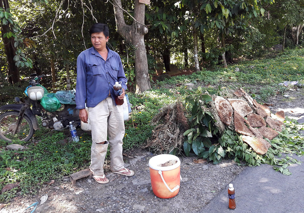 Mật ong rừng giả được bày bán tràn lan trên các tuyến đường gần rừng tại Lâm Đồng
