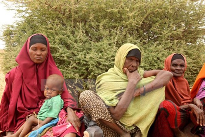 Người dân Somalia đợi nhận lương thực cứu trợ tại Hiran, Somalia ngày 22/6. (Nguồn: Anadolu/ AFP/TTXVN)